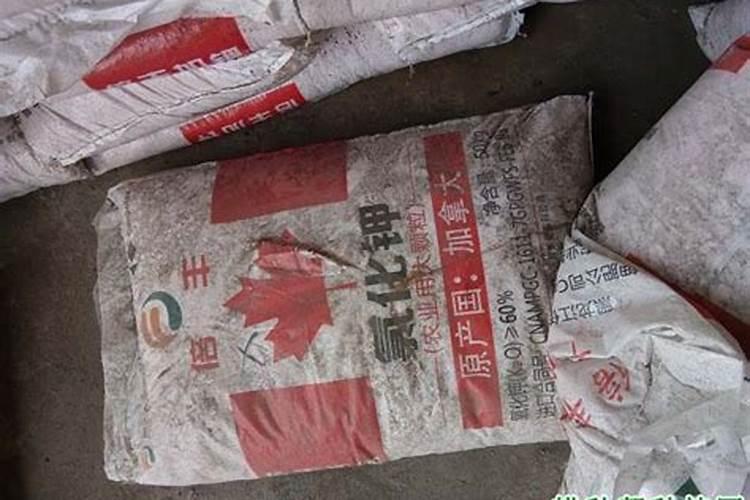 花生一亩地种多少斤种子