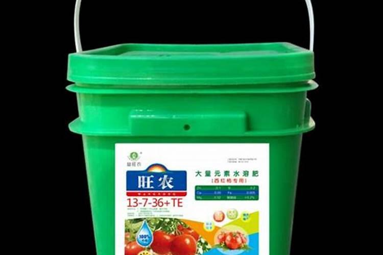 西红柿什么时候浇膨果肥