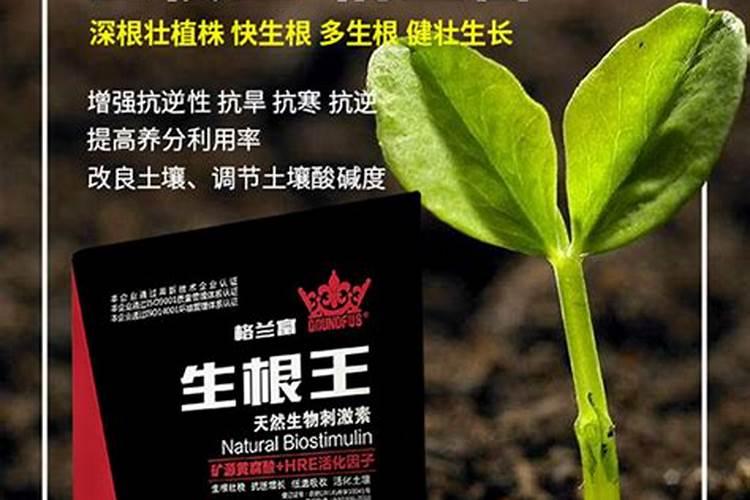 促生根的最佳肥料