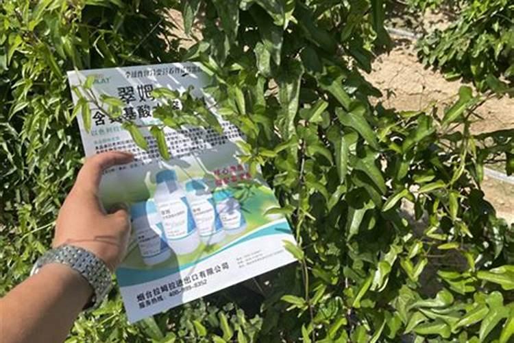 黄腐酸钾价格