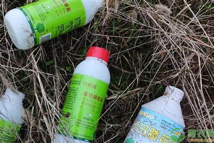 桔子树用什么肥料最好