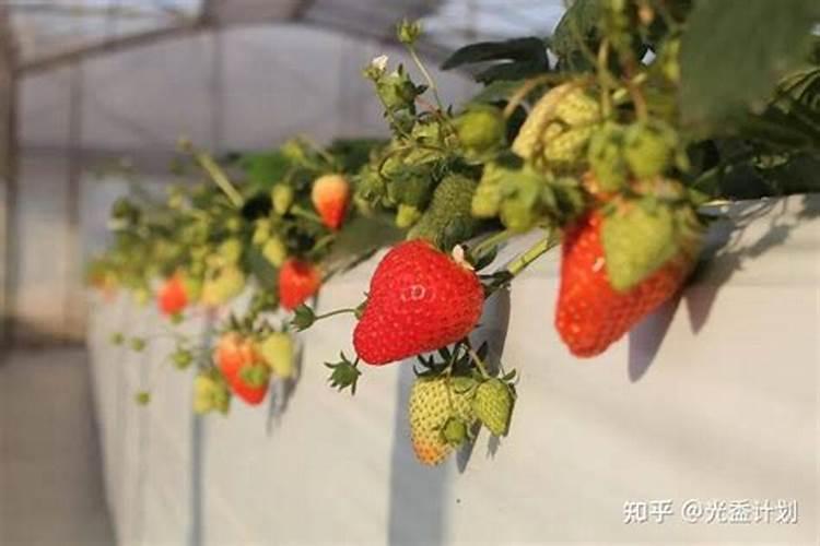 碳氮氢能组成离子化合物吗？