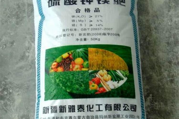 俄罗斯是全球第几大氮肥出口国