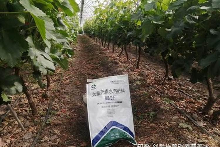 北京东方奇丰科技有限公司怎么样？