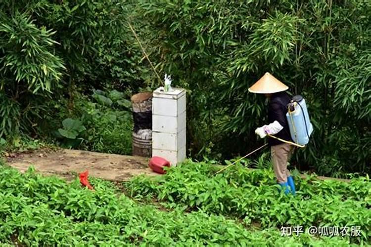 硼肥,钼肥和磷酸二氢钾能混合在一起喷施吗？