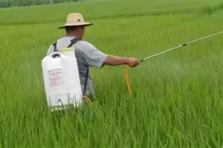 红磷与白磷,黄磷都是什么成分？