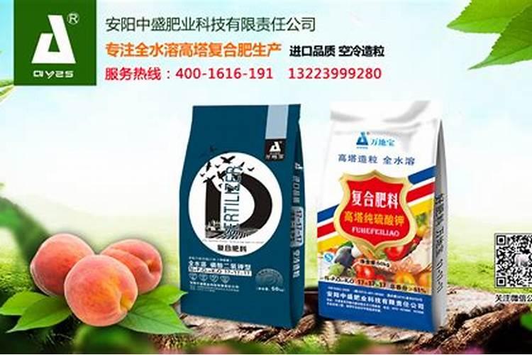 一盆月季施几粒复合肥、玫瑰月季适合施什么肥