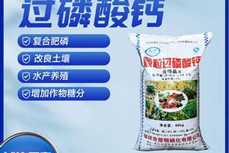 几种水产养殖常见水质调控方法介绍