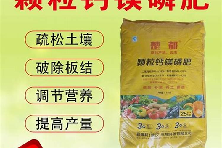 雅安潜叶蛾柑橘农药