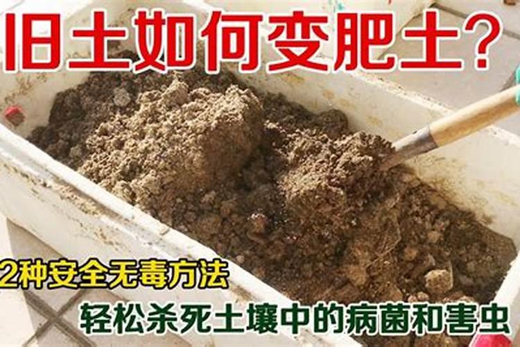 花生需要什么叶面肥？