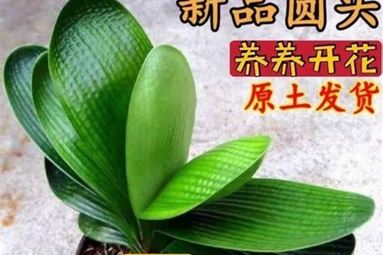 湖北龙蟒磷化工有限公司电话是多少？