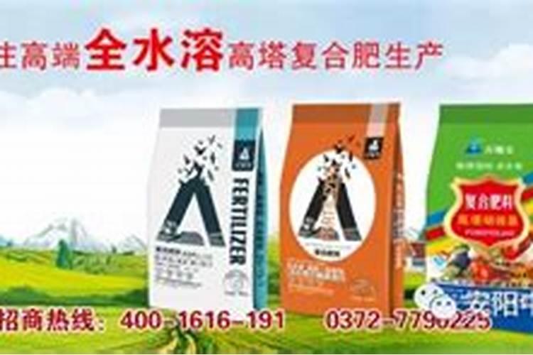 茶花花期能施什么肥 如何正确为它施肥