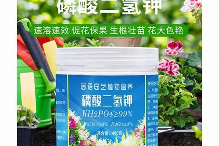 哪些肥属于氮肥