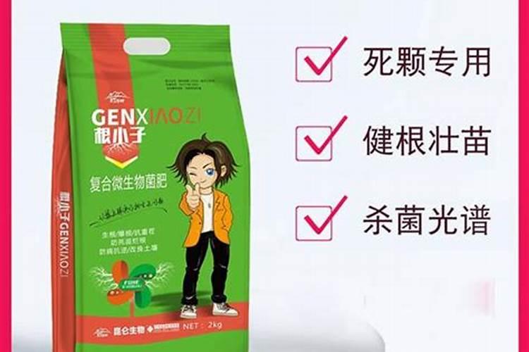 在养殖中,什么肥料能让果实膨大效果最好？