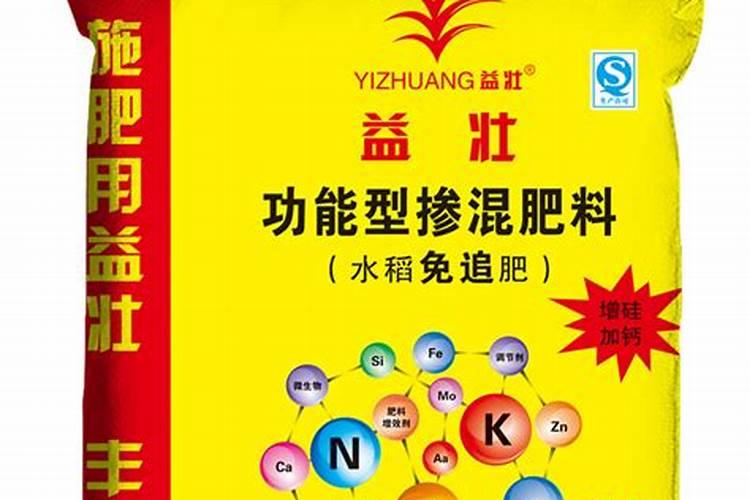 君子兰施肥方法,施什么肥能开花