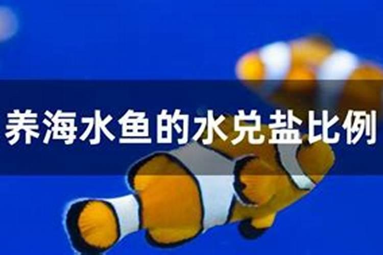 十斤水加多少克鱼蛋白原浆合适