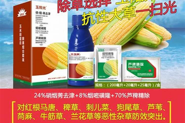 玉米控旺能加芸苔素吗 什么时候喷施效果好