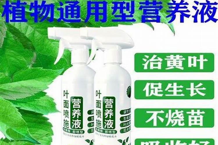 硼肥在花期的使用方法,缺硼的土壤适合种什么