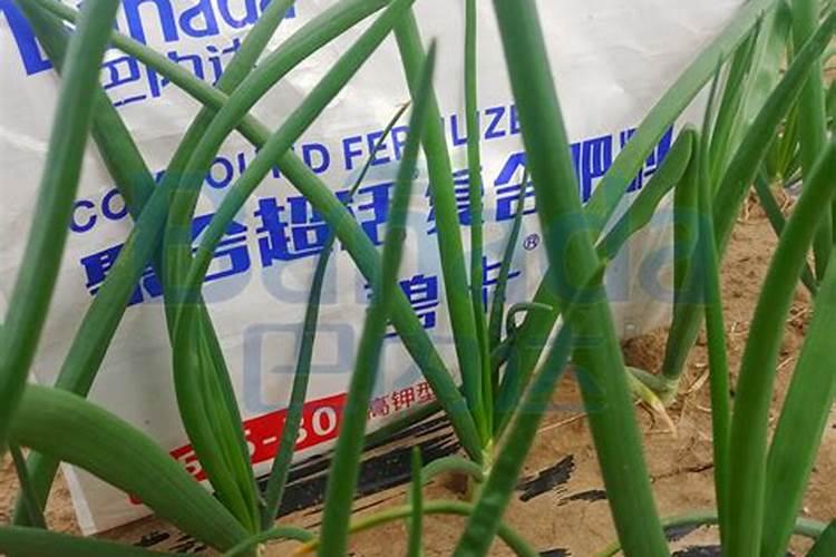 现在化肥厂出售的化肥和新生产的化肥效果一样吗？