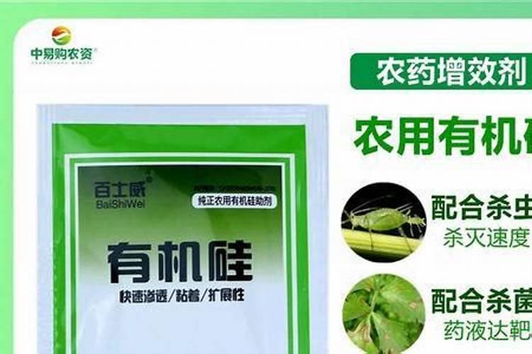 绿色蔬菜含钙质吗