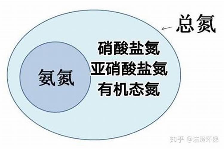 氨氮是怎么形成的