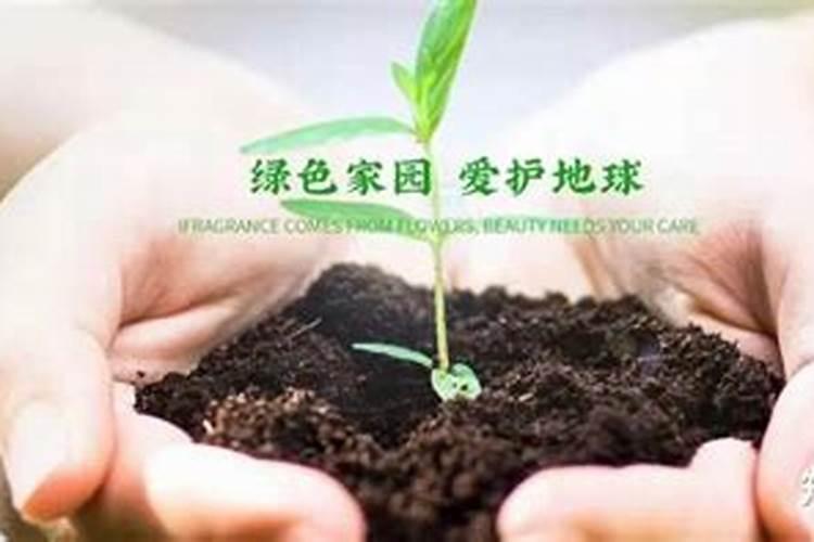 西瓜僵苗的补救措施