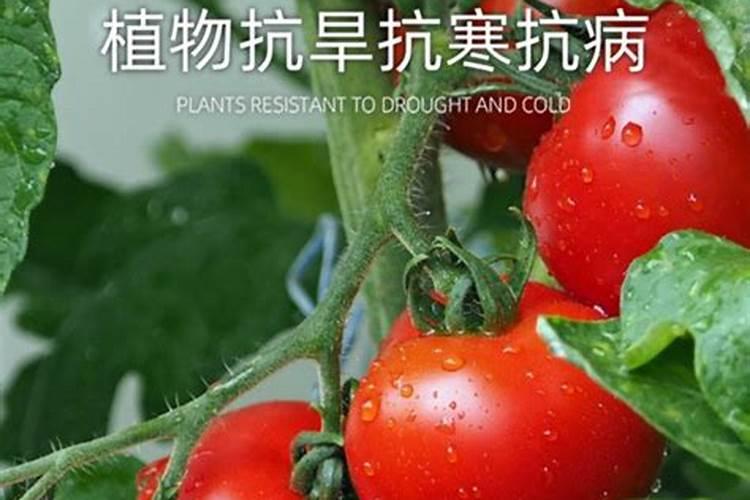黄腐酸钾的用量和用法？