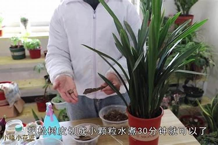 什么肥料能让红薯达到最优生长效果