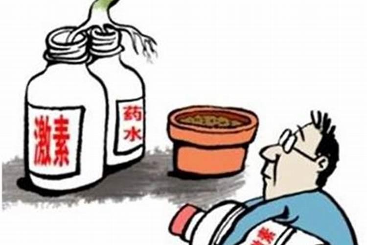 茶花用什么肥料好,茶花的四季施肥方法