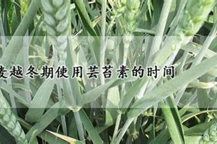 请问:真假磷酸二氢钾、硼肥、锌肥简易识别法。
