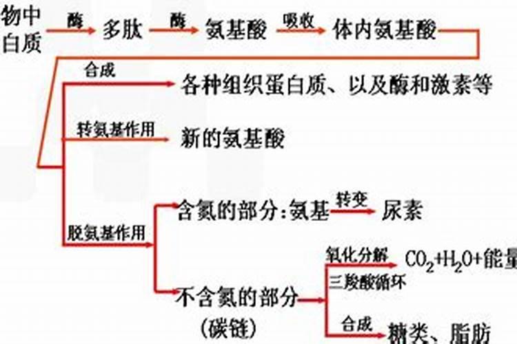 什么是破解植物固氮的谜团？