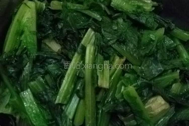 油麦菜种植方法和最佳时间