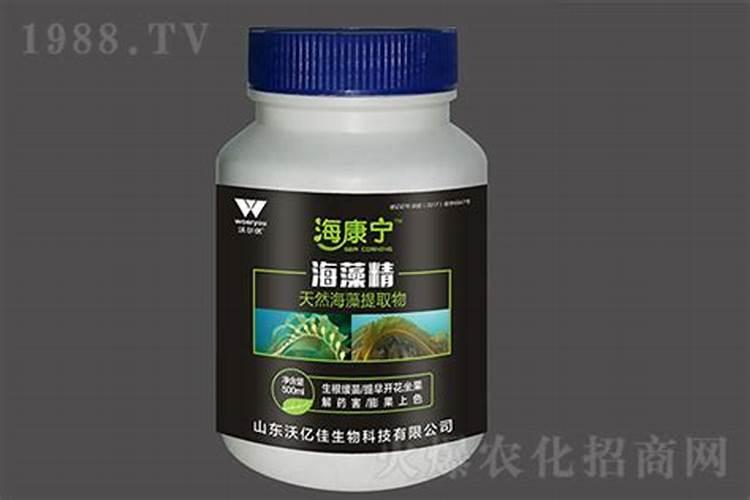 洋葱怎样种植及施肥