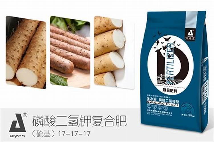 辣椒和什么混种最好