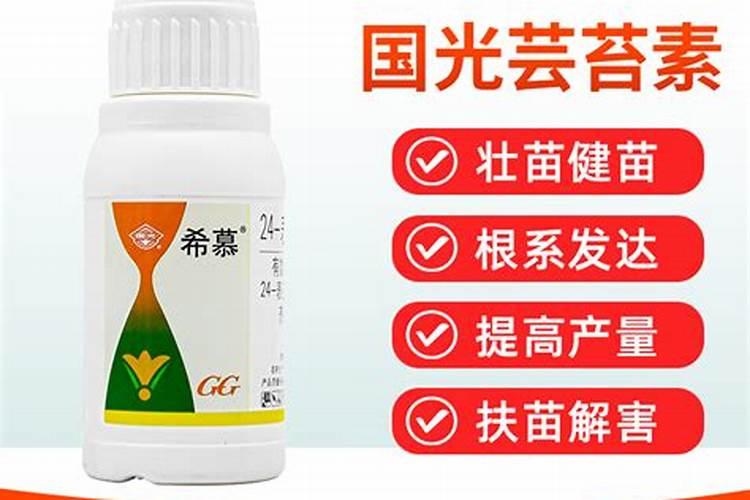 烟丝加工添加什么