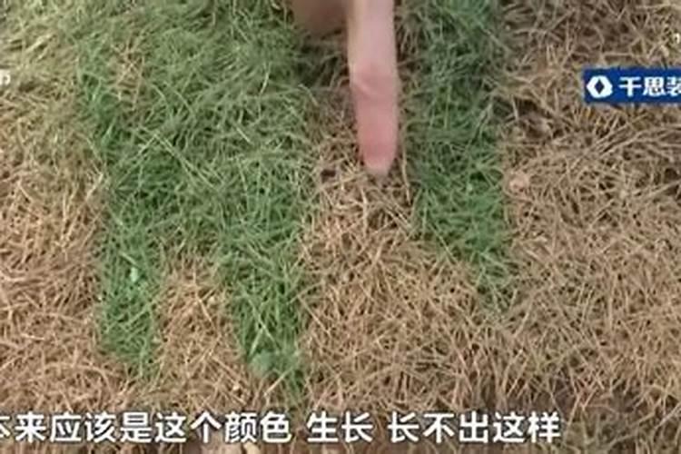 磷酸二氢钾六大致命错误操作,五大实操口诀