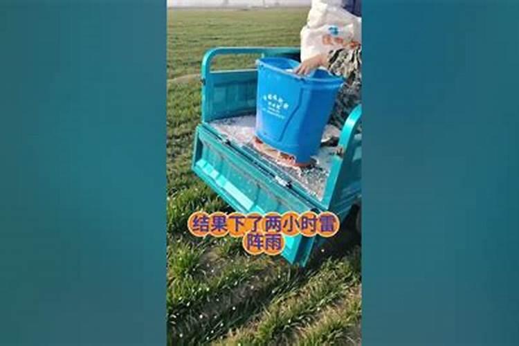 草莓苗期旺长用矮壮素,烯效唑,多效唑好么？