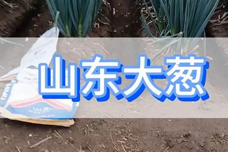 治疗大葱根腐病特效药？