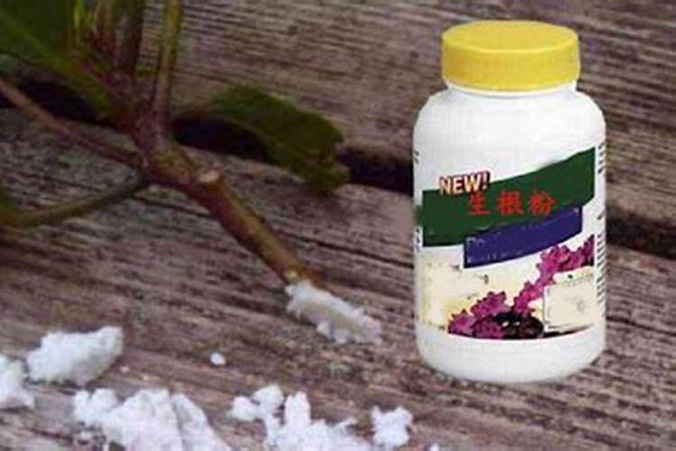 矿源黄腐酸钾可以和菌肥一起用吗？