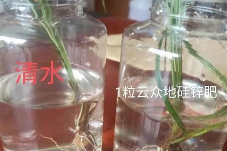 复合肥含氯是什么意思