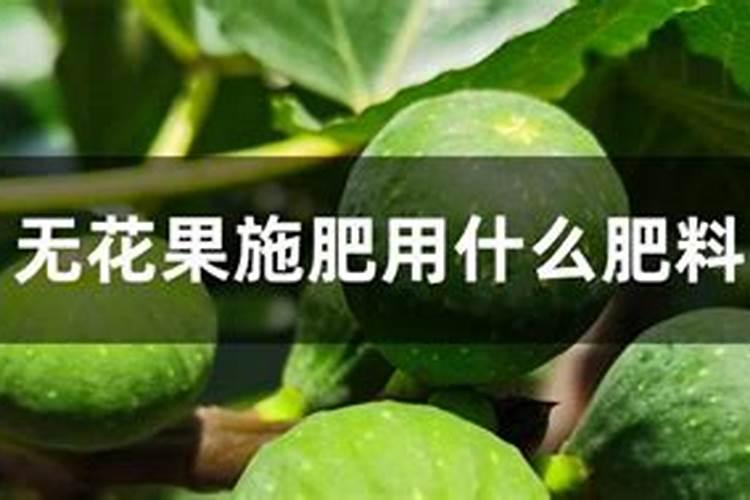 硼肥的作用 缺硼和硼肥过量症状