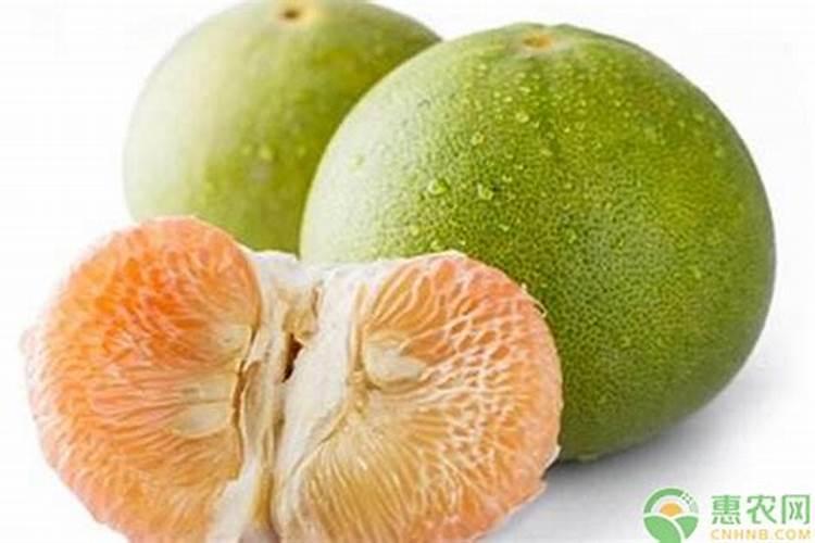 脐橙冬肥施什么肥好？