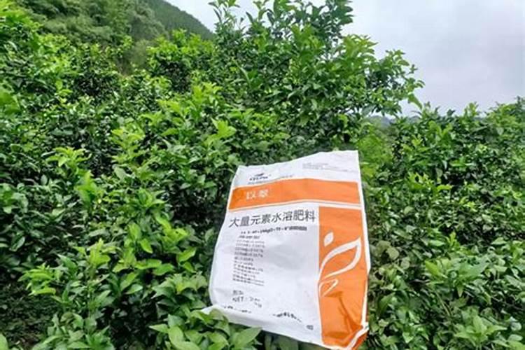 复合肥,氮肥,磷肥,钾肥有什么区别