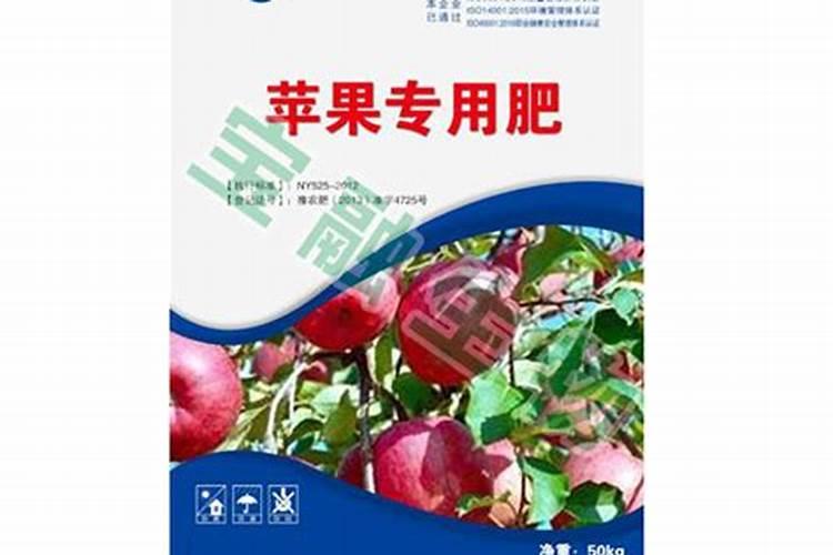 君子兰施什么肥容易开花君子兰的施肥要求