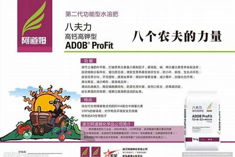 枇杷用什么肥料会让果实更甜