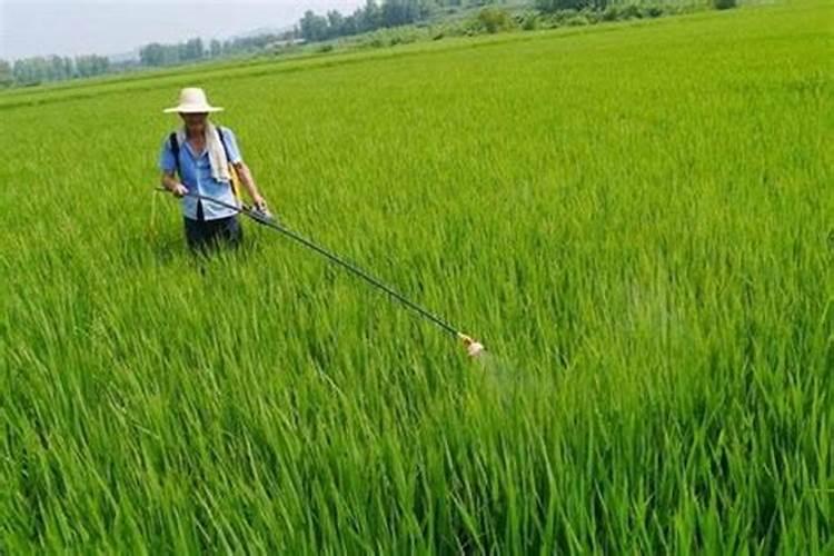 复合肥氮磷钾含量标准