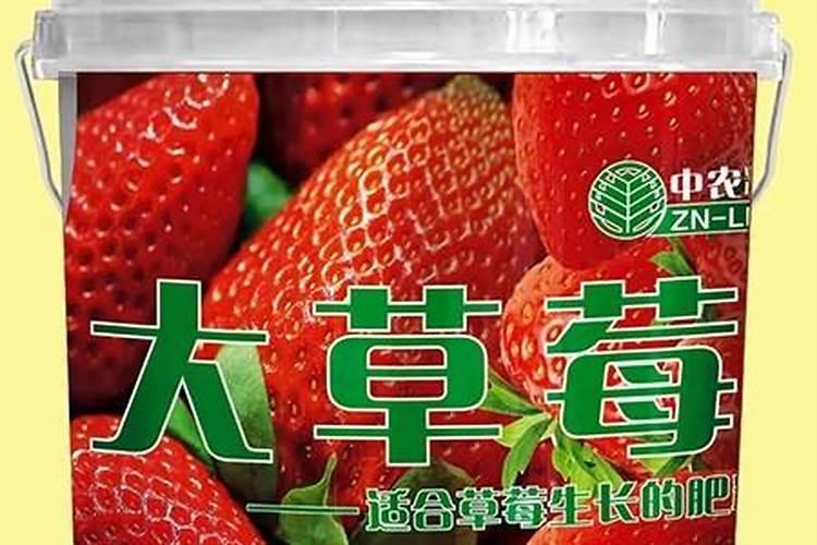 草莓苗开花之前能施中微量元素吗？