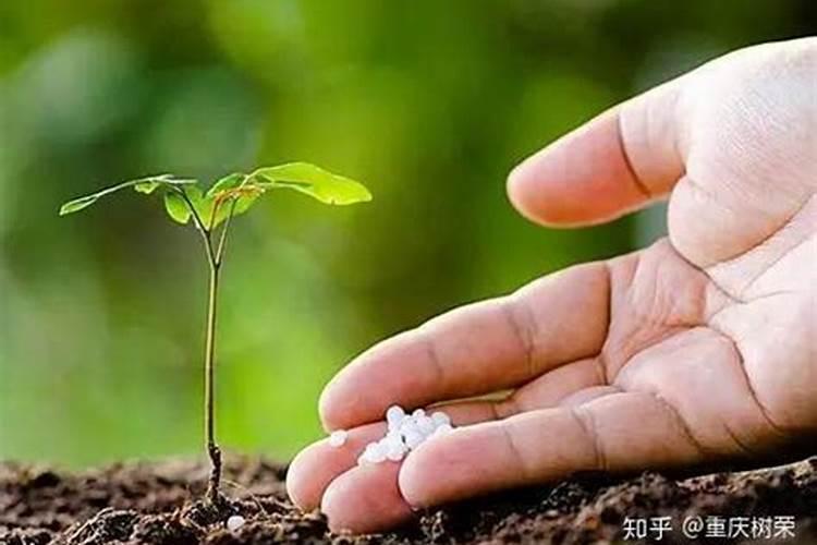 2020年河南开封玉米什么时候收割？