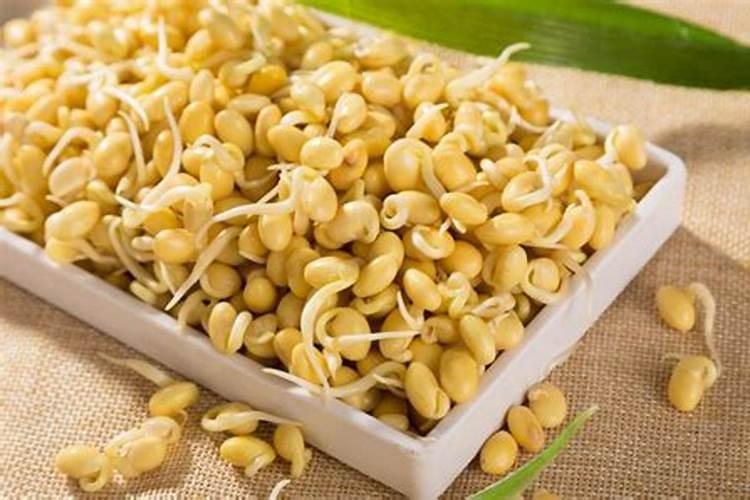 在家自制黄豆肥料怎么样才知道是否发酵完全或是？
