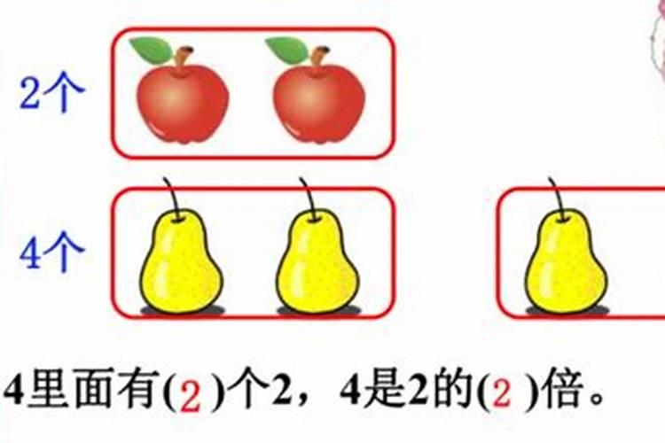 十斤水加多少克鱼蛋白原浆合适